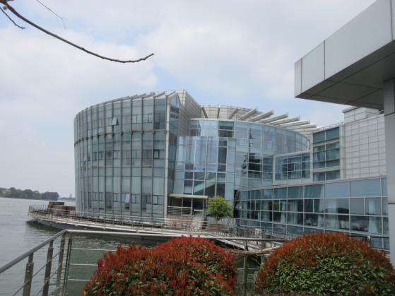 汾湖藝術(shù)文化中心房屋.png 汾湖藝術(shù)文化中心房屋.png